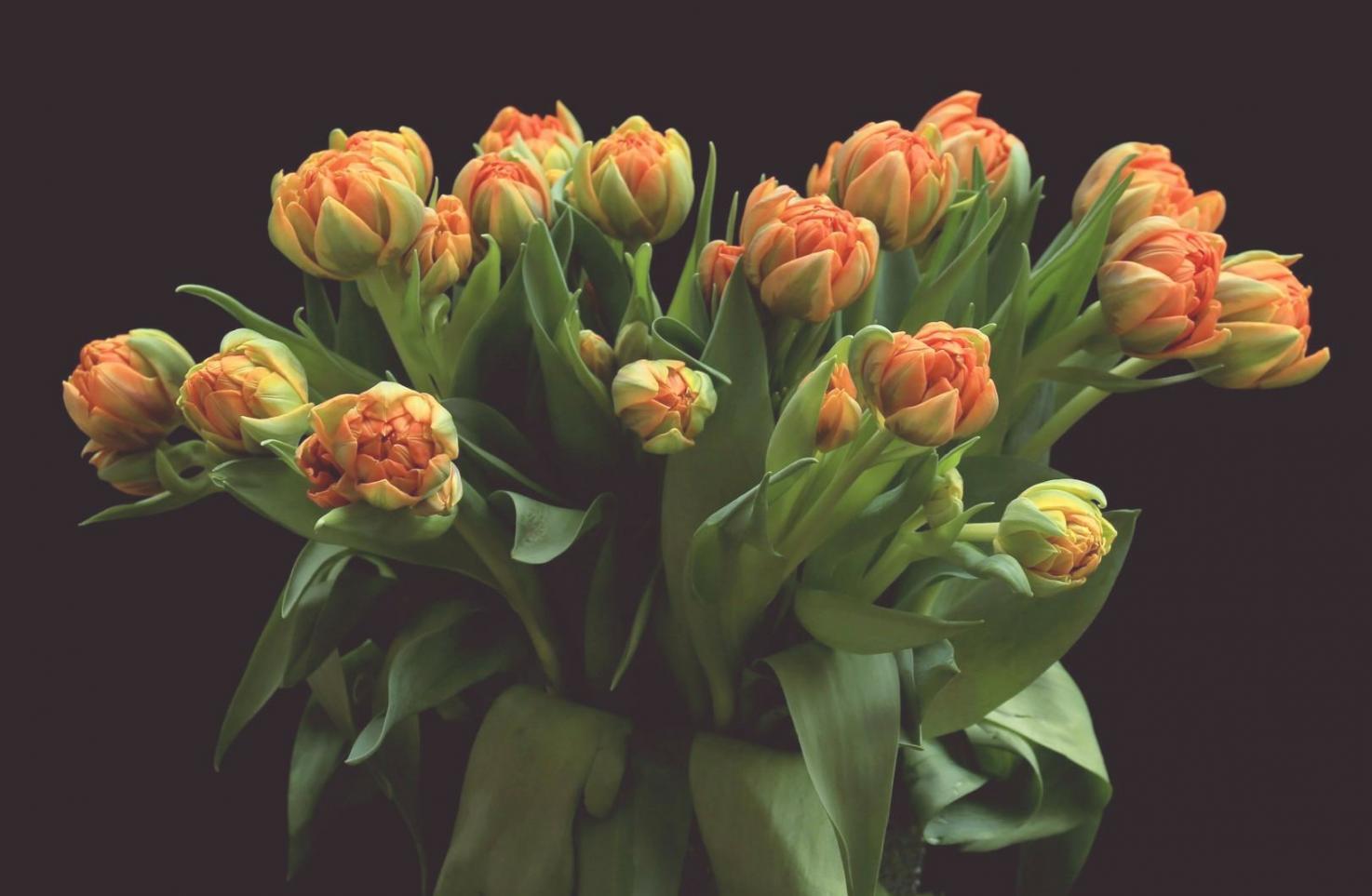Europäische Floristik-Gestaltung mit frischen Blumen